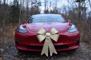 Red Tesla Model 3 Electric car with gold bow on the hood in a forest of brown trees with no leaves