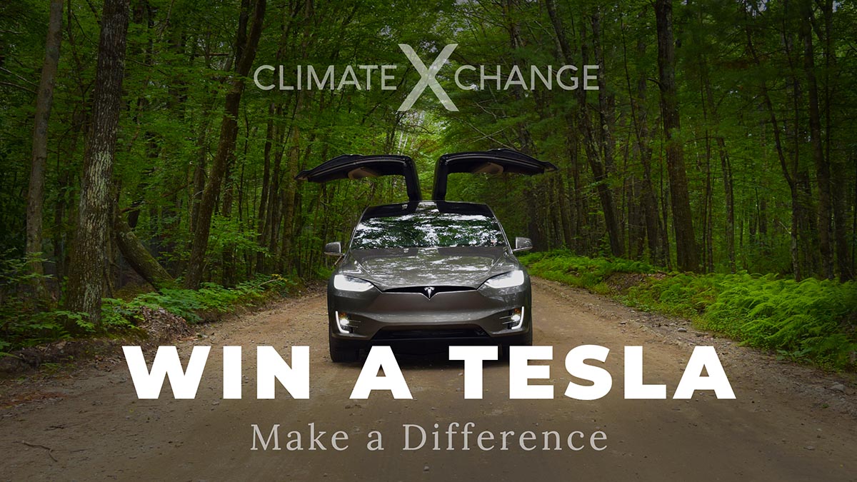 Win A Tesla Make A Difference Enter The 20192020 Carbon