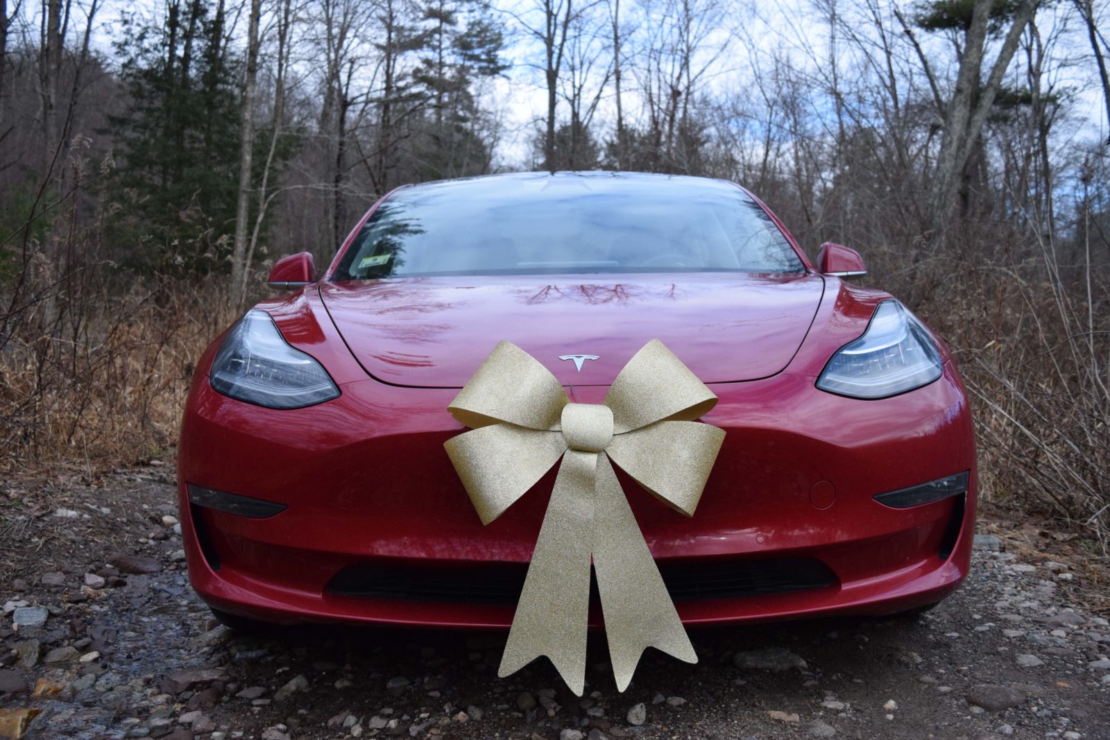 Red Tesla Model 3 Electric car with gold bow on the hood in a forest of brown trees with no leaves